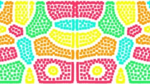 Hue Harmony Sorting Challenge
