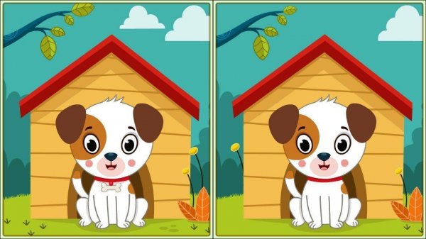 Spot 5 Differences: Find The Difference Puzzle Game Online - Puzzle Game