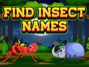 Find Insect Names Online Puzzle Game - Word Puzzle