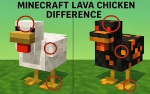 Lava Chicken Spot the Difference