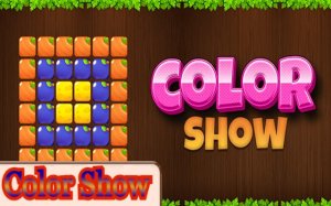 Color Show: Pattern Match Puzzle Online Game - Puzzle Game