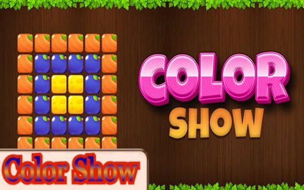 Color Show: Pattern Match Puzzle Online Game - Puzzle Game