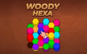 Woody Hexa Puzzle